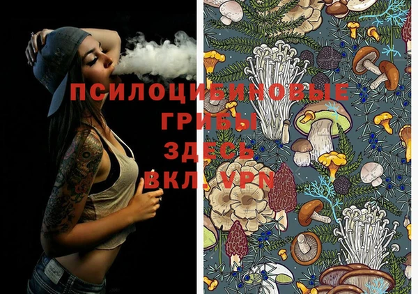 стафф Алексин