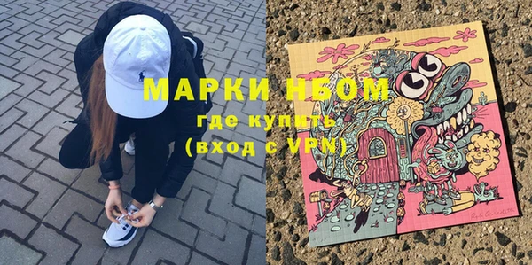 стафф Алексин