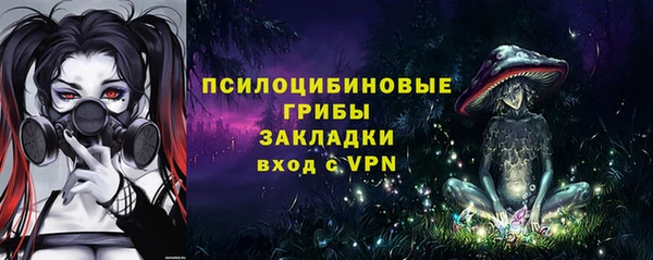 стафф Алексин