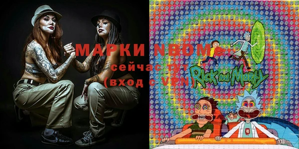 стафф Алексин