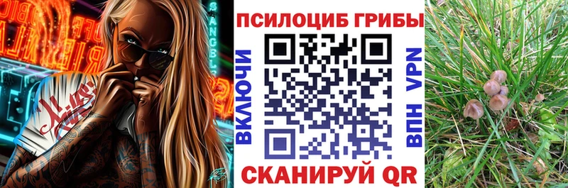 Галлюциногенные грибы MAGIC MUSHROOMS  mega ТОР  Рязань 