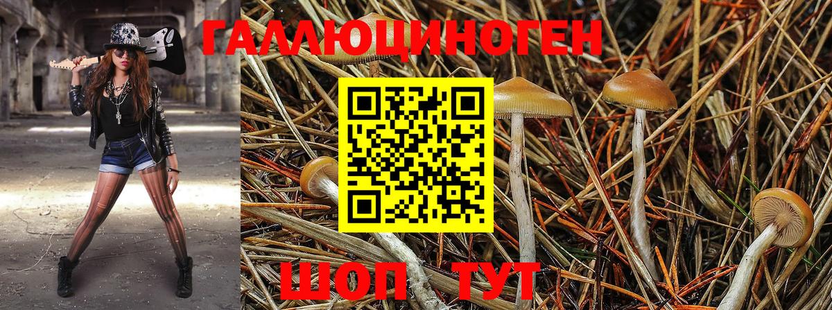 Галлюциногенные грибы мухоморы Рязань